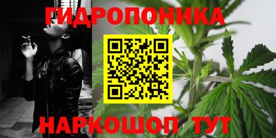 ПСИЛОЦИБИНОВЫЕ ГРИБЫ Бузулук