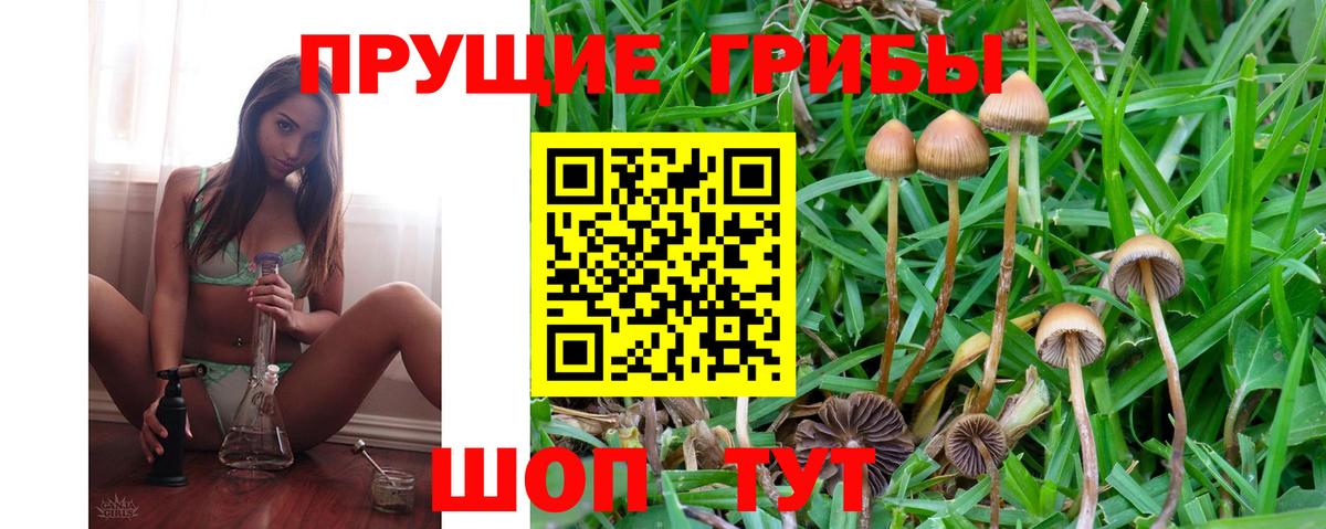 Благодарный  Псилоцибиновые грибы GOLDEN TEACHER  Вход с VPN  где продают наркотики  Псилоцибиновые грибы GOLDEN TEACHER 