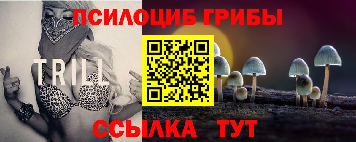 Благодарный  Вход с VPN  Меф   Экстази  ГАШ  Канабис 